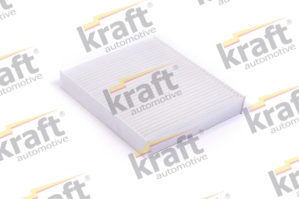 Filter, cabin air (1733060)