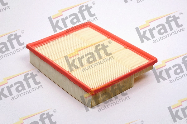 Air Filter (1711175)
