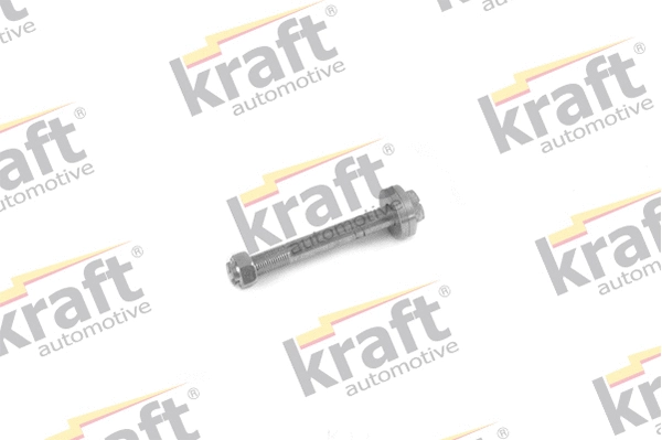Mounting and Bolting Kit, control/trailing arm (4241067)