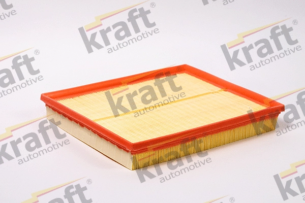 Air Filter (1711575)