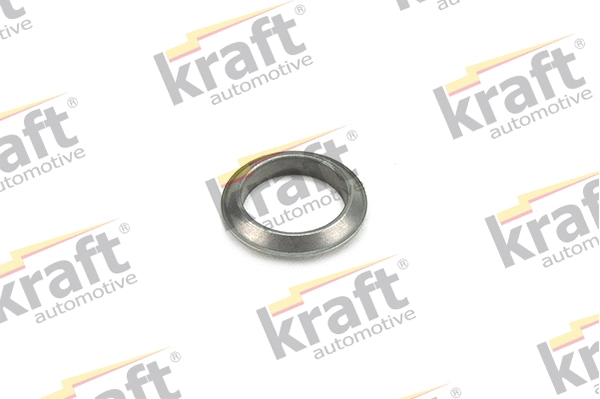 Seal Ring, exhaust pipe (0530080)