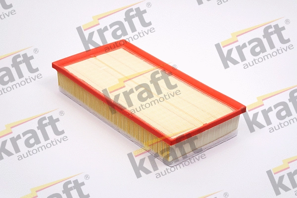 Air Filter (1710081)