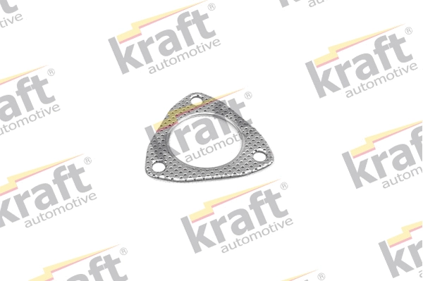 Gasket, exhaust pipe (0520020)