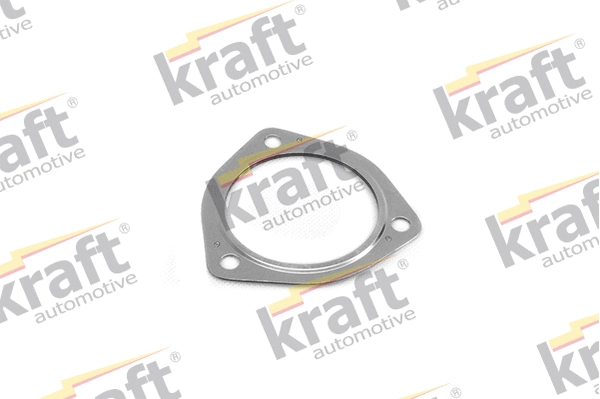 Gasket, exhaust pipe (0520190)
