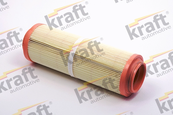 Air Filter (1711370)