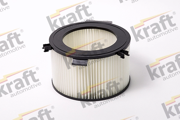 Filter, cabin air (1730200)