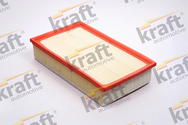 Air Filter (1710120)
