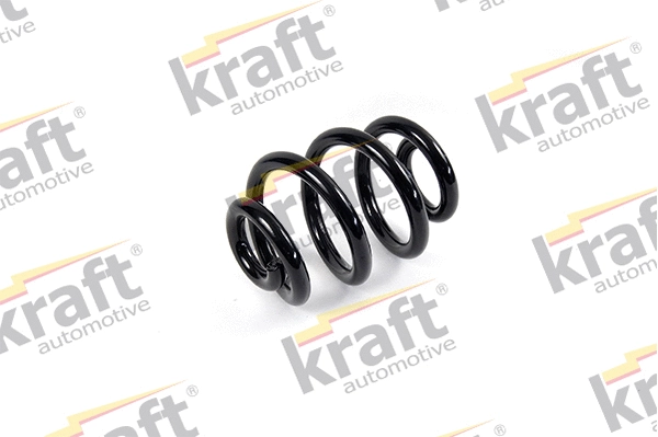 Suspension Spring (4030100)