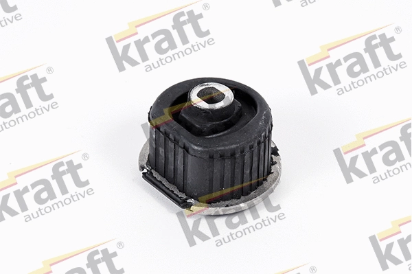 Bushing, axle beam (4231310)