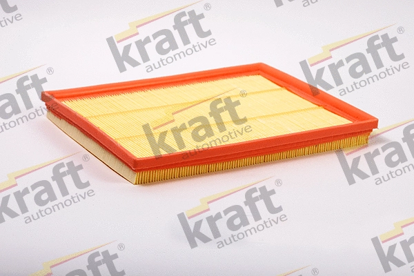 Air Filter (1711570)