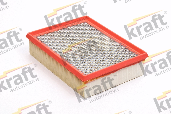 Air Filter (1711745)