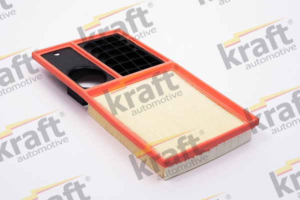 Air Filter (1716550)