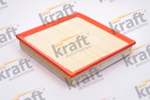 Air Filter (1711900)