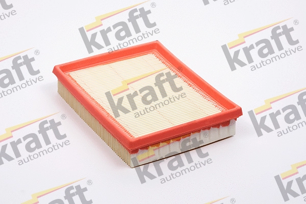 Air Filter (1715610)