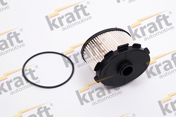 Fuel Filter (1725570)