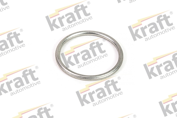 Seal Ring, exhaust pipe (0533520)