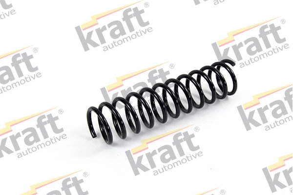 Suspension Spring (4030040)