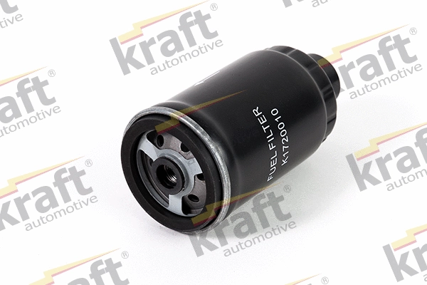 Fuel Filter (1720010)