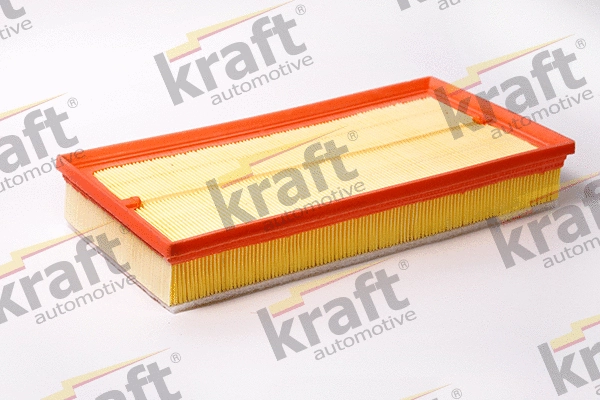 Air Filter (1710080)