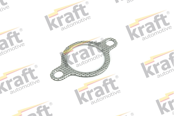 Gasket, exhaust pipe (0532020)