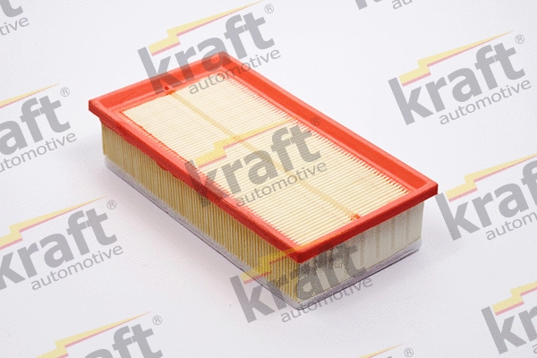 Air Filter (1716167)