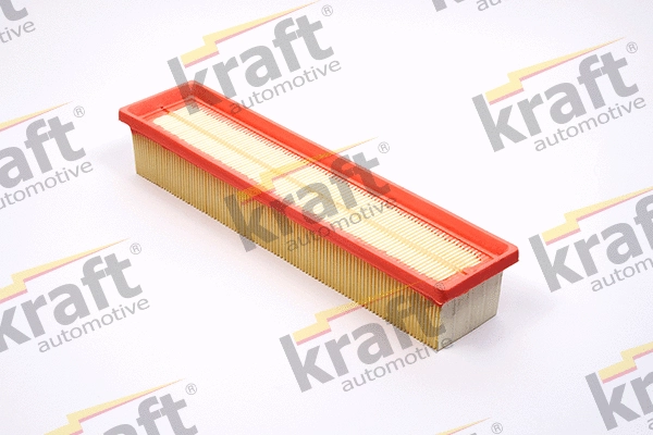 Air Filter (1715075)