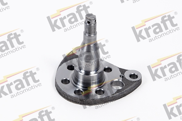 Steering Knuckle, wheel suspension (4200380)
