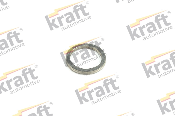 Seal Ring, exhaust pipe (0533530)