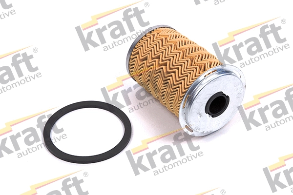 Fuel Filter (1722060)