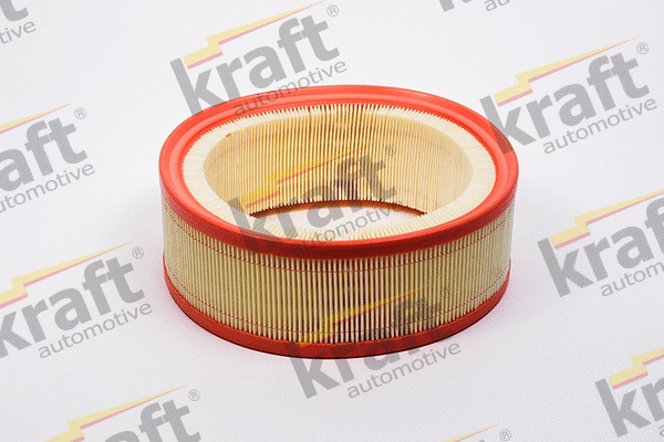 Air Filter (1715035)