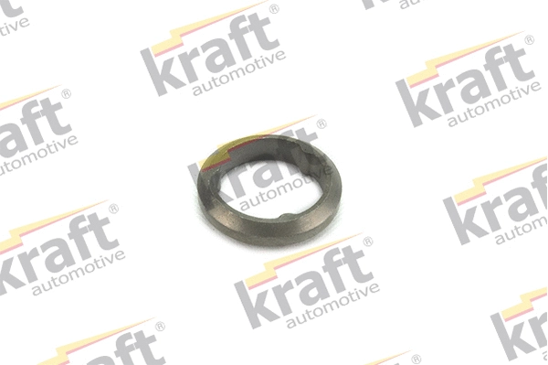 Seal Ring, exhaust pipe (0530040)