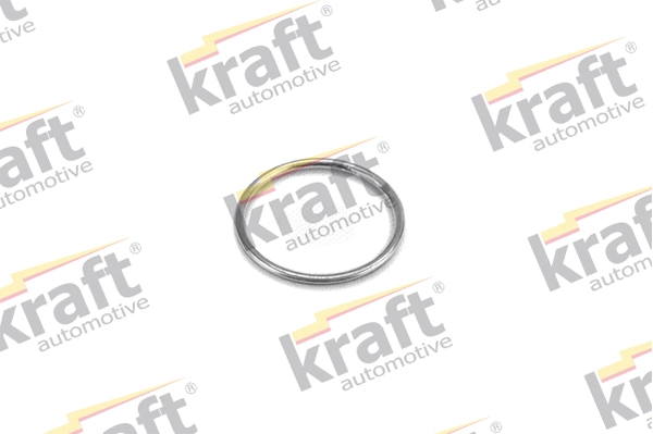 Seal Ring, exhaust pipe (0536620)