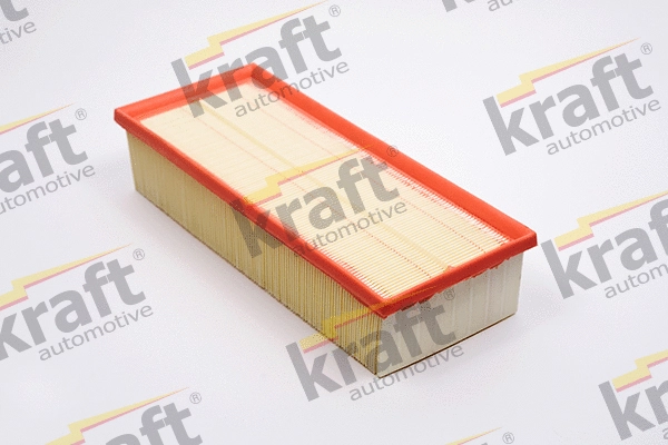Air Filter (1710411)