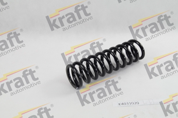 Suspension Spring (4031020)