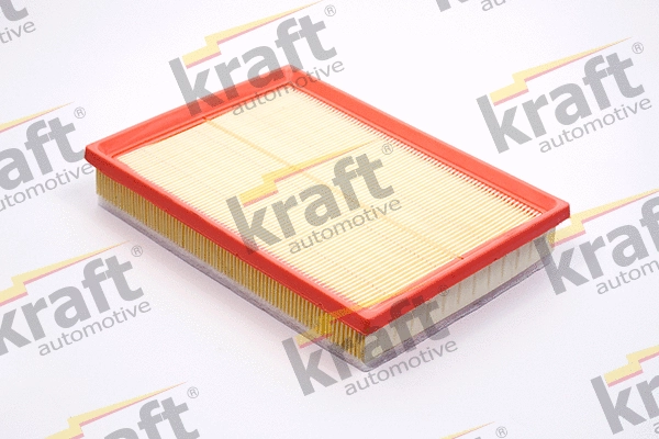 Air Filter (1711596)
