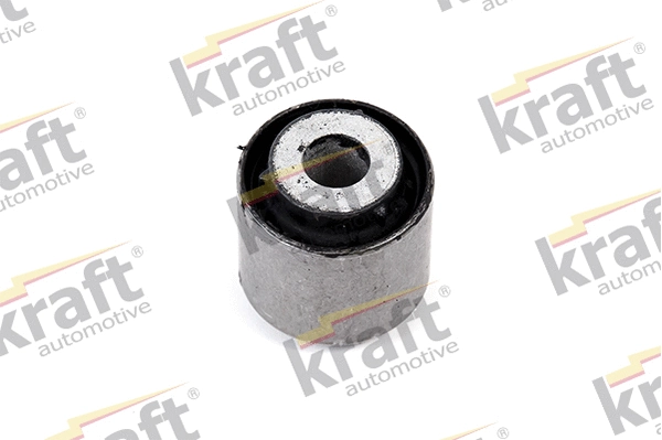 Mounting, control/trailing arm (4231120)