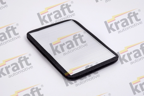 Filter, cabin air (1735015)