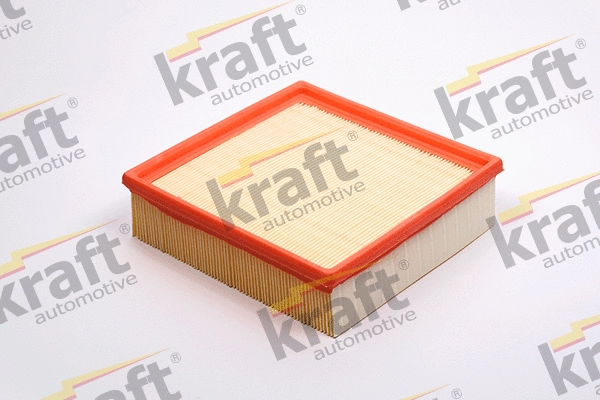 Air Filter (1710030)