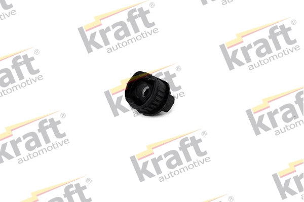 Bushing, axle beam (4231410)