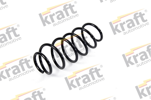 Suspension Spring (4032028)