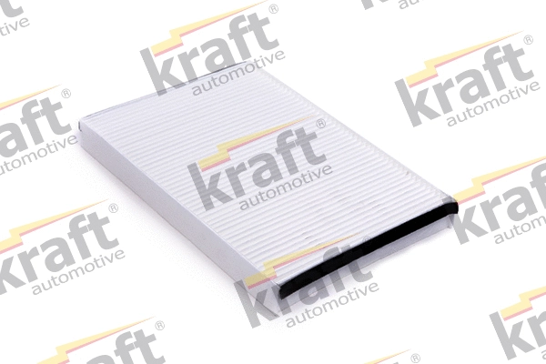 Filter, cabin air (1731505)