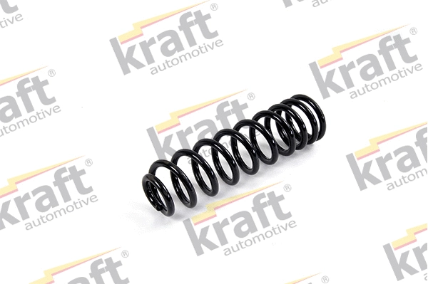 Suspension Spring (4031118)