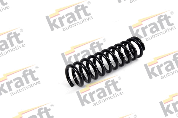 Suspension Spring (4031025)