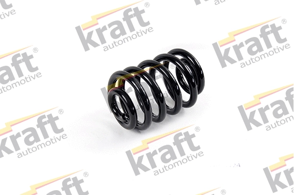 Suspension Spring (4031124)