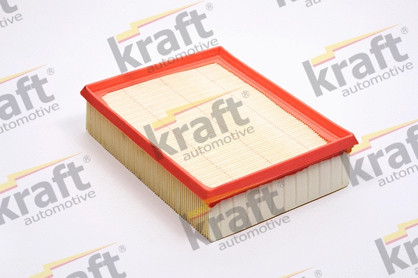 Air Filter (1711740)