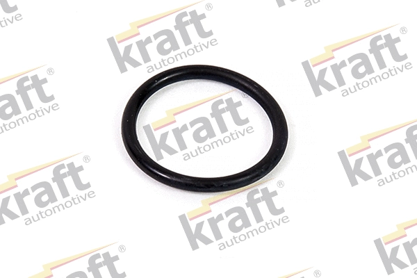 Seal Ring, oil drain plug (1131820)
