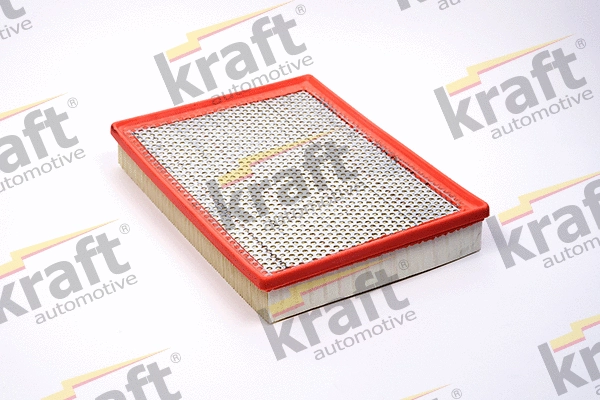Air Filter (1711800)