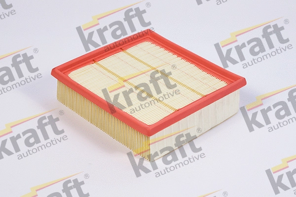 Air Filter (1711820)