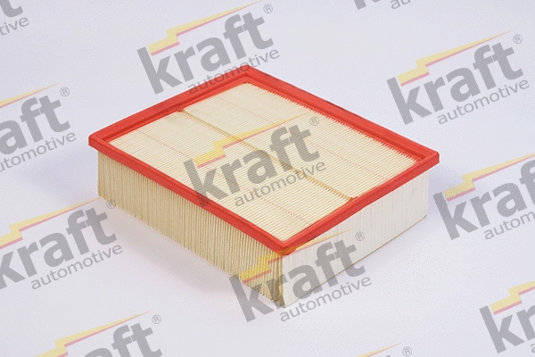 Air Filter (1710142)
