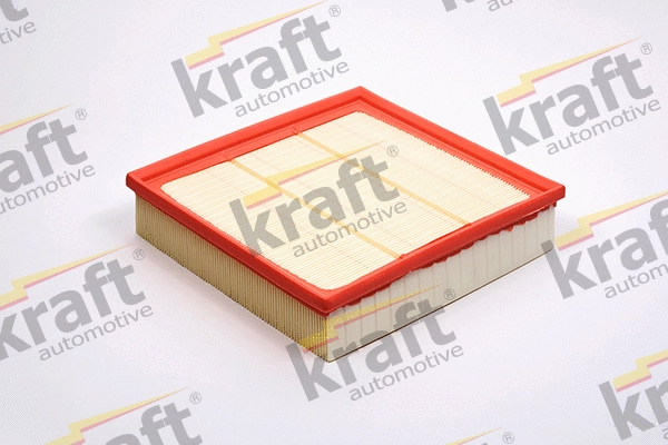 Air Filter (1711690)